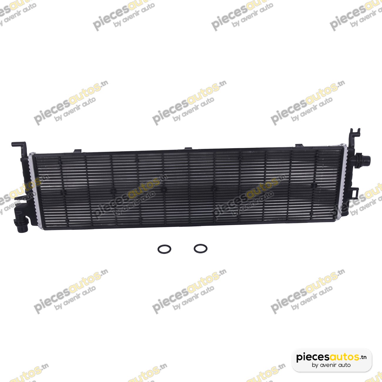 Radiateur, refroidissement du moteur Bapmic BF0442810002