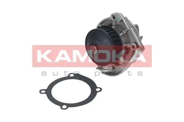 Pompe à eau KAMOKA T0118