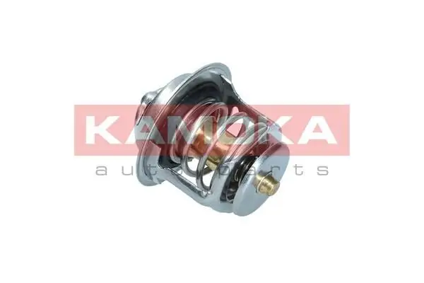 Thermostat d'eau KAMOKA 7710113