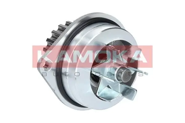 Pompe à eau KAMOKA T0079