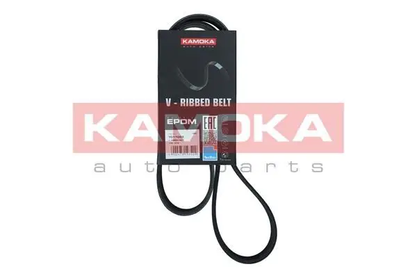 Courroie KAMOKA 7017003