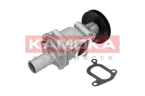 Pompe à eau KAMOKA T0116