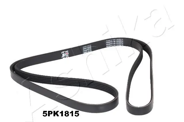 Courroie ASHIKA 112-5PK1815
