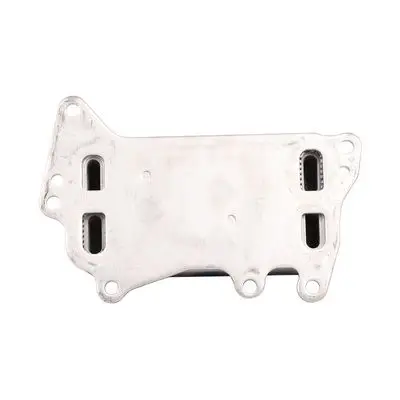 Radiateur d'huile Bapmic TOPT1208009
