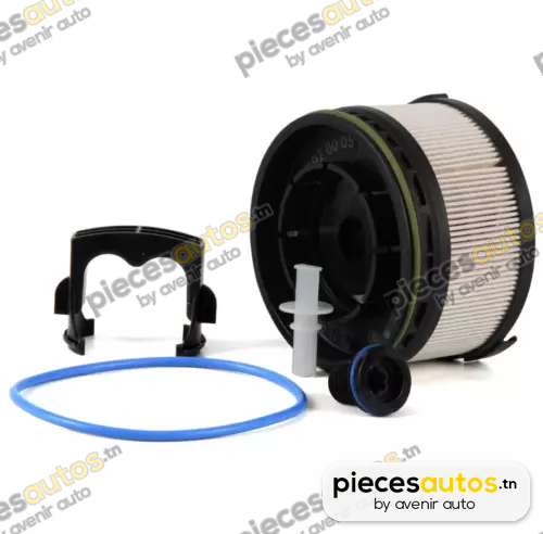 Filtre à carburant Bapmic BF0423940221