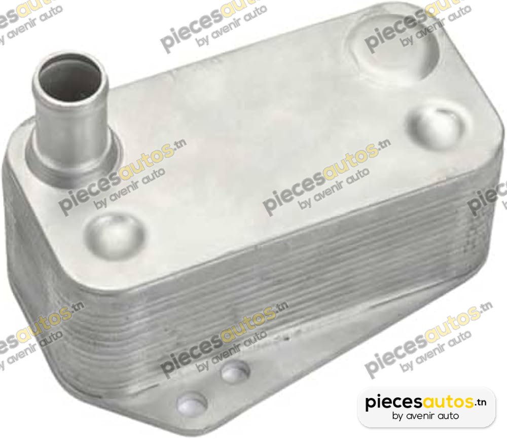 Radiateur d'huile Bapmic TOPT1208018