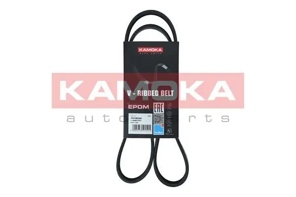 Courroie KAMOKA 7016059