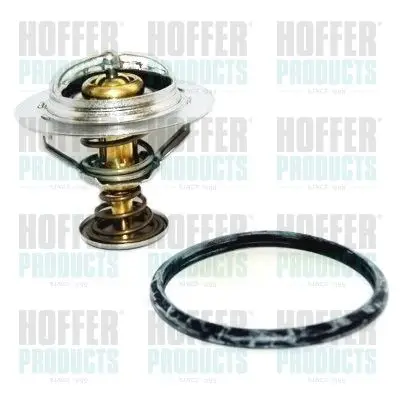 Thermostat d'eau HOFFER 8192531