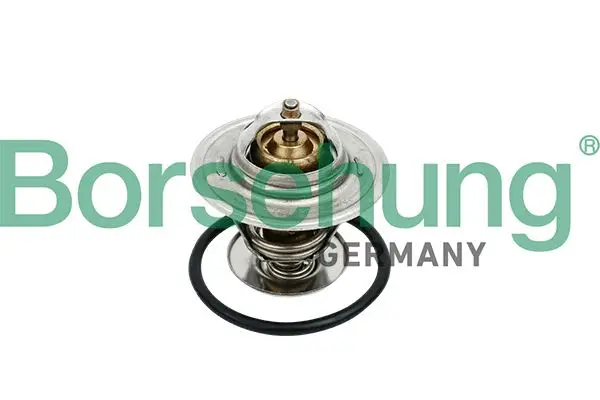 Thermostat d'eau Borsehung B18259