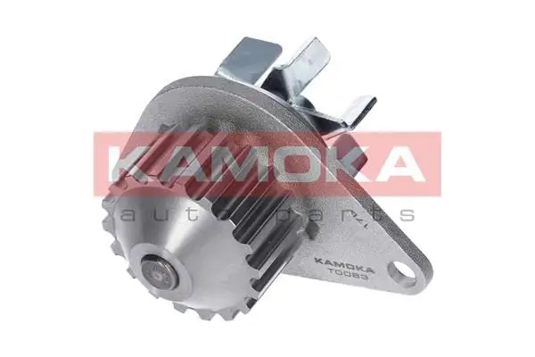 Pompe à eau KAMOKA T0083