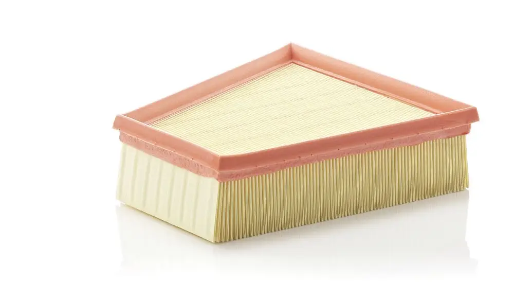 Filtre à air MANN-FILTER C 2295/2