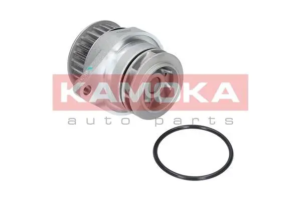Pompe à eau KAMOKA T0249