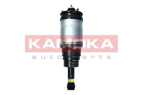 Armortisseur pneumatique KAMOKA 2070025