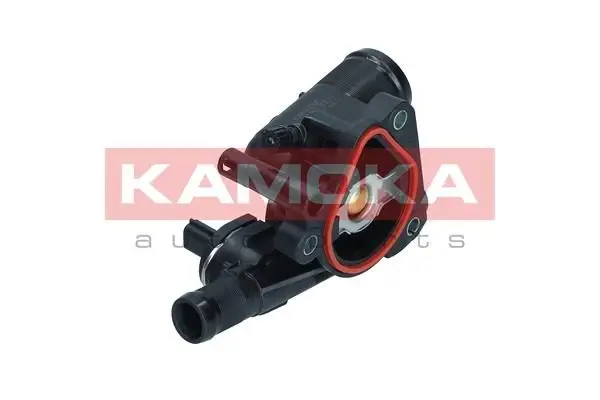 Thermostat d'eau KAMOKA 7710193