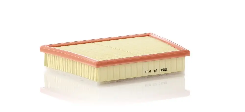 Filtre à air MANN-FILTER C 22 018