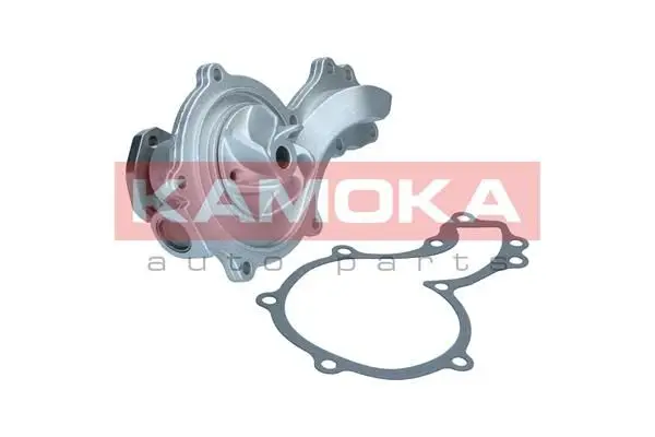 Pompe à eau KAMOKA T0044