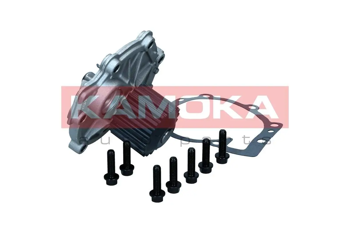 Pompe à eau KAMOKA T0288