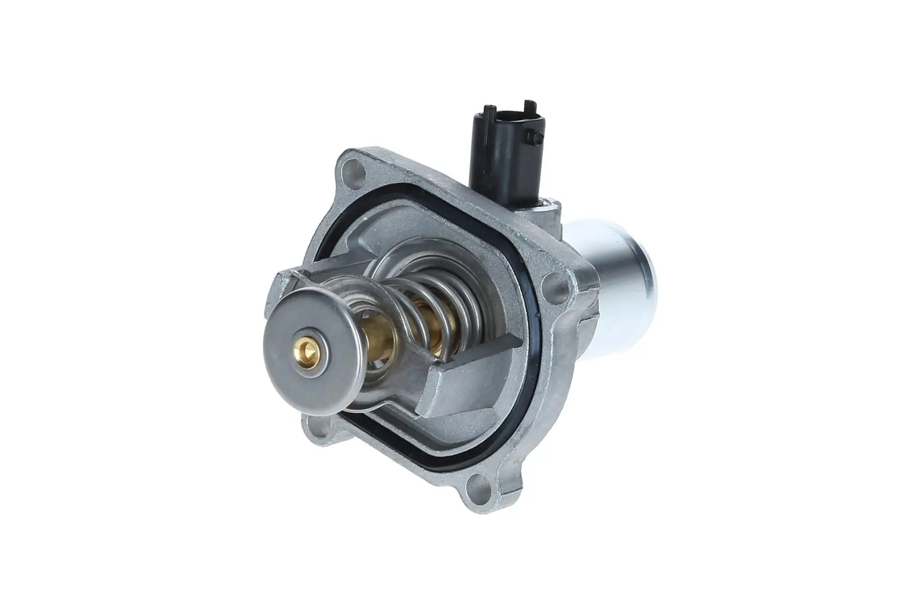 Thermostat d'eau KAMOKA 7710013