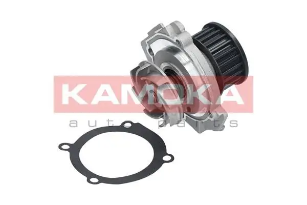 Pompe à eau KAMOKA T0114