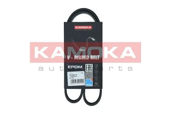 Courroie KAMOKA 7016019