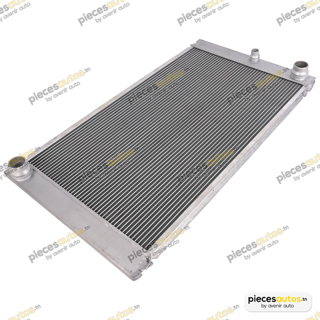 Radiateur, refroidissement du moteur Bapmic TOPT1201066