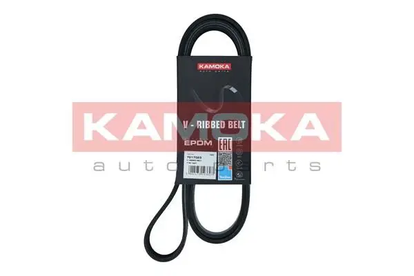 Courroie KAMOKA 7017023