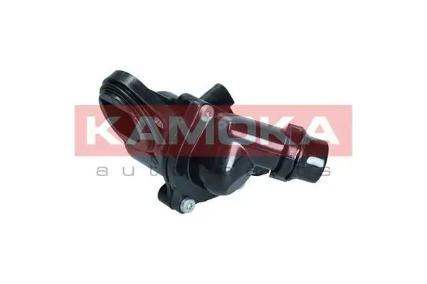 Thermostat d'eau KAMOKA 7710007