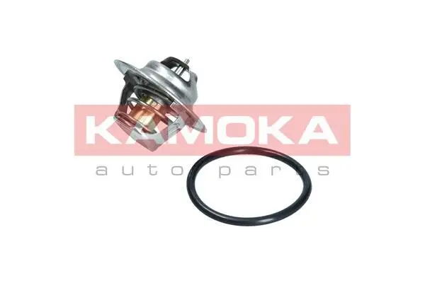 Thermostat d'eau KAMOKA 7710095