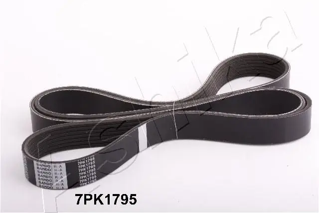 Courroie ASHIKA 112-7PK1795