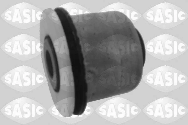 Bras et Triangle suspension SASIC 2250019
