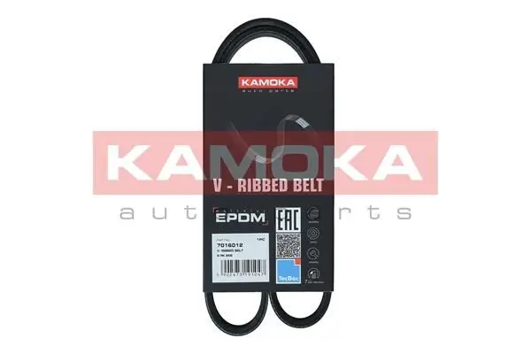 Courroie KAMOKA 7016012