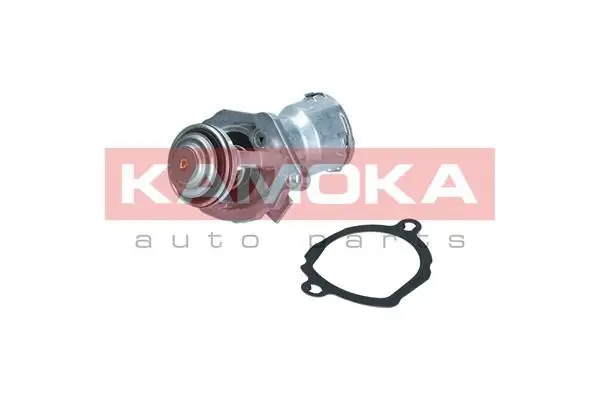 Thermostat d'eau KAMOKA 7710017