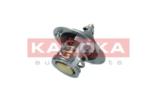 Thermostat d'eau KAMOKA 7710042