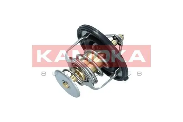 Thermostat d'eau KAMOKA 7710136