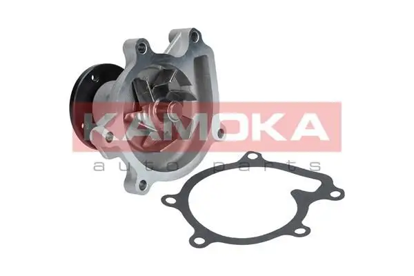 Pompe à eau KAMOKA T0269