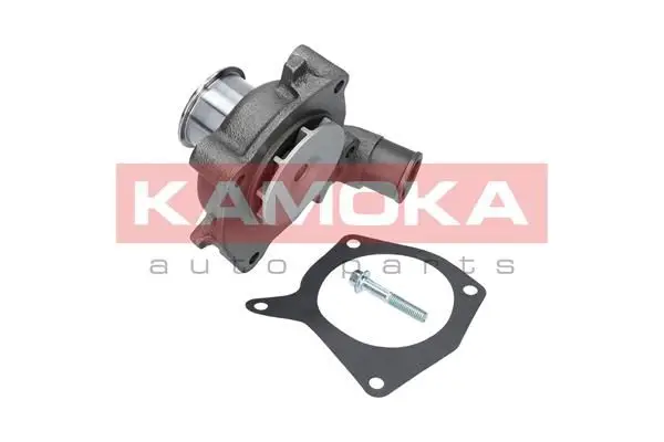 Pompe à eau KAMOKA T0131