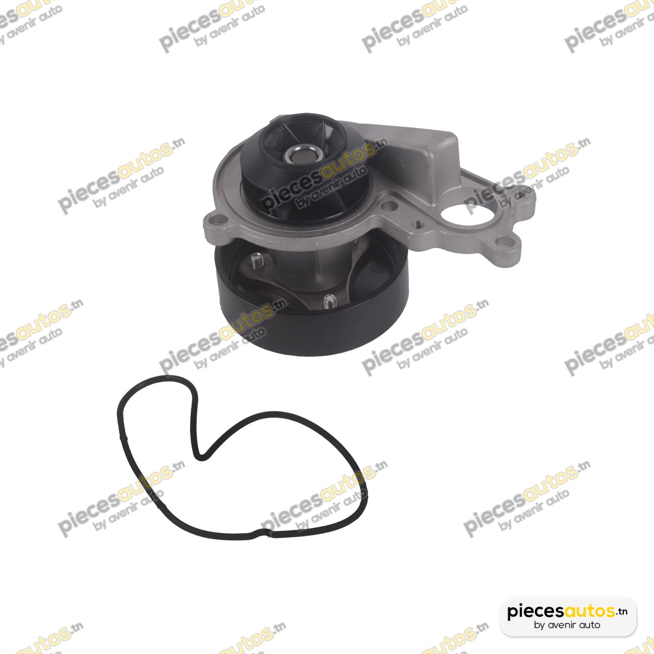 Pompe à eau Bapmic BF0426350222