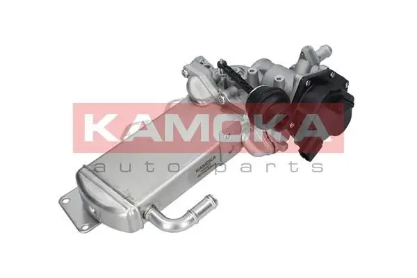 Module-EGR KAMOKA 19067