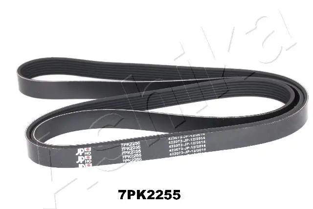 Courroie ASHIKA 112-7PK2255