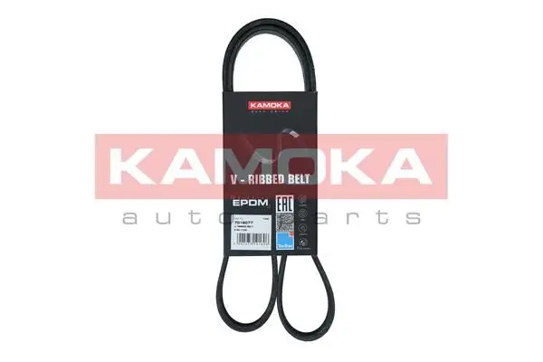 Courroie KAMOKA 7016077
