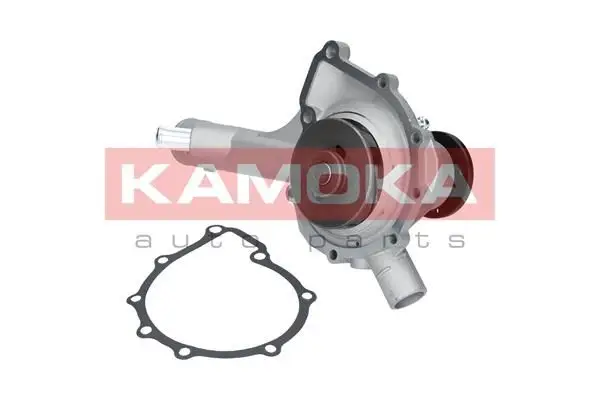 Pompe à eau KAMOKA T0186