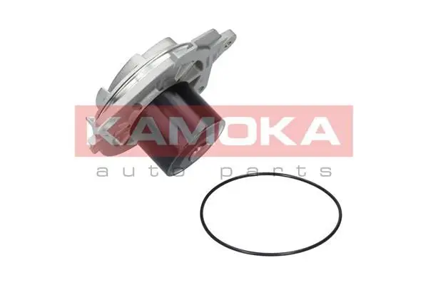 Pompe à eau KAMOKA T0002