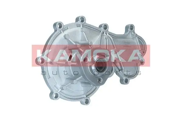 Pompe à eau KAMOKA T0317