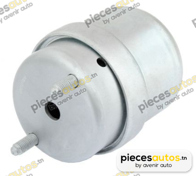 Support moteur Bapmic BF0428140323