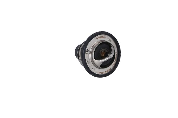 Thermostat d'eau KAMOKA 7710302