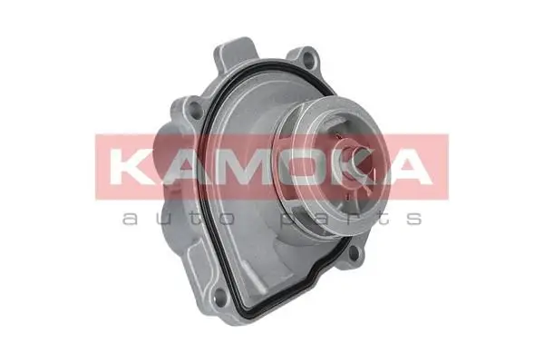 Pompe à eau KAMOKA T0009